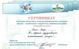 ТехноИнтеллект Участие Сончик